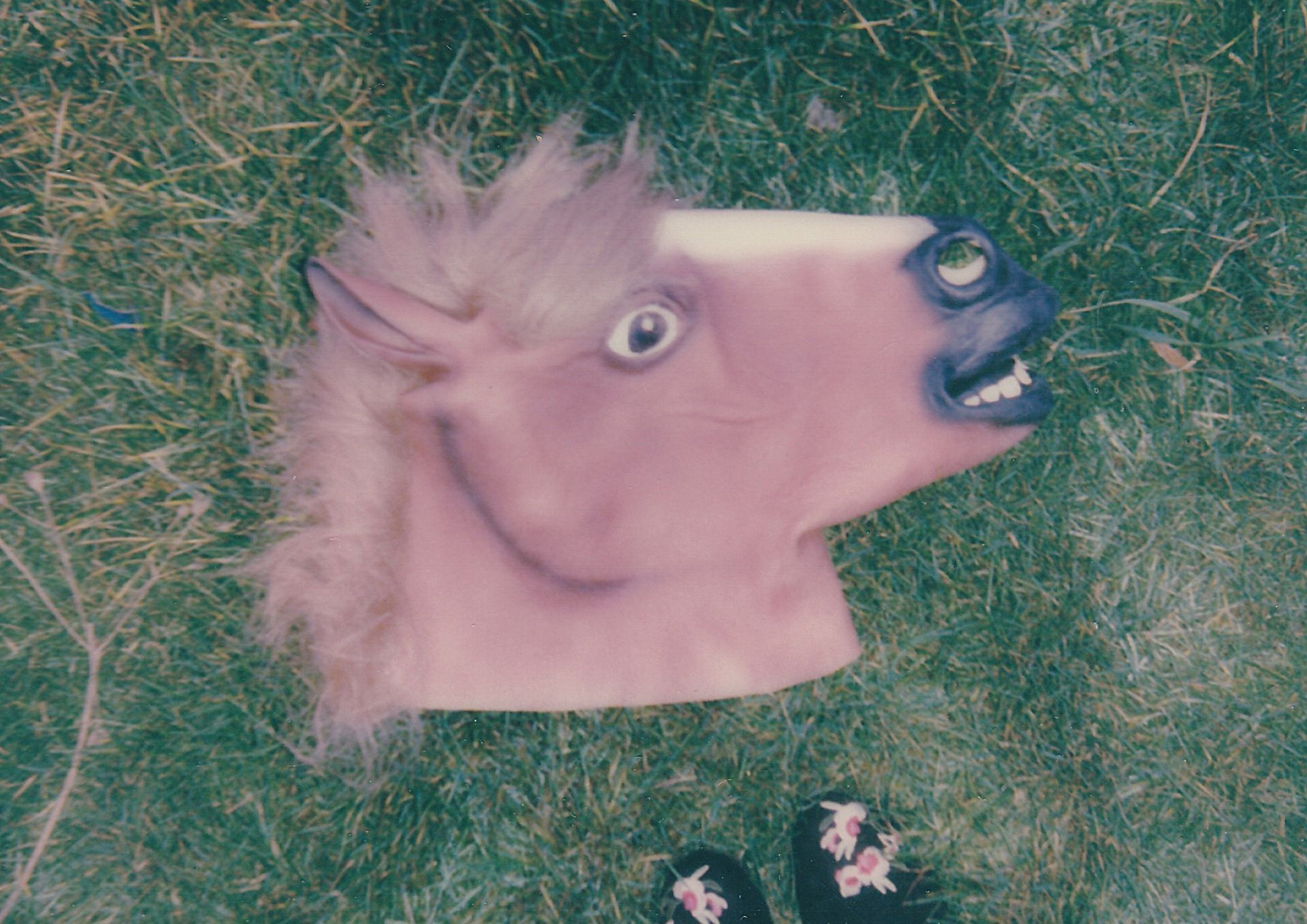 Horse 2