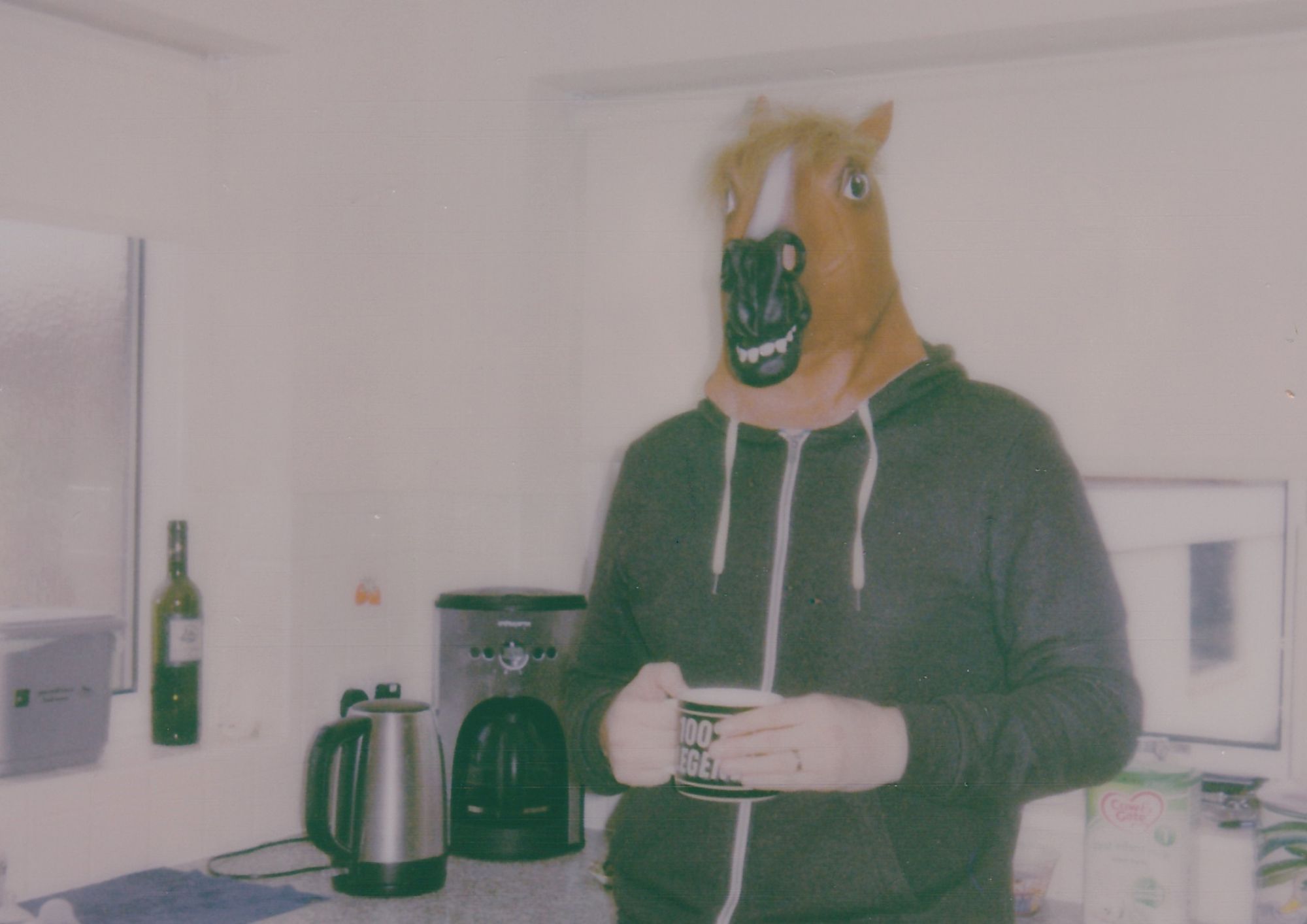 Horse